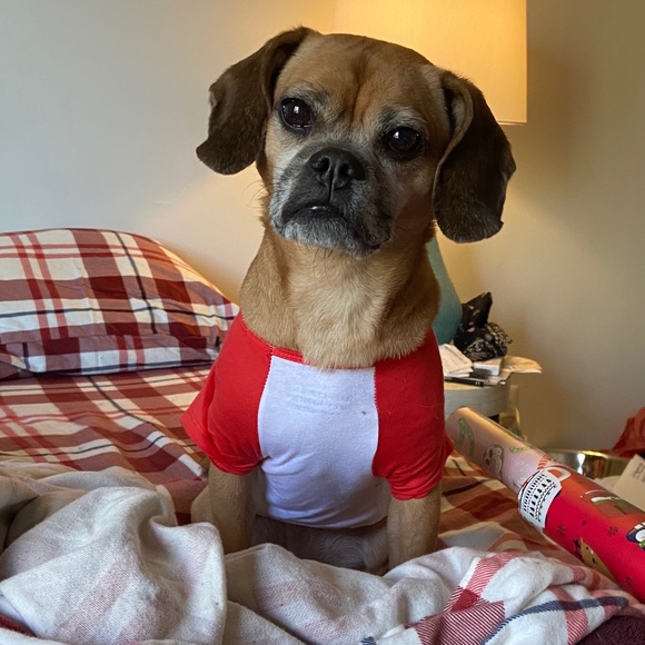 Meet your Posher, Gina - Picture 1 of 1